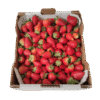 Fresas de Valsequillo Mercanario Fresas de Valsequillo