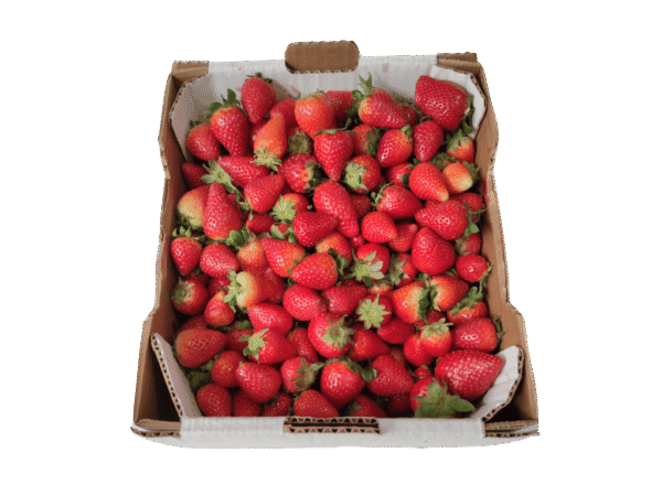 Fresas de Valsequillo Mercanario Fresas de Valsequillo
