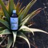 Jugo de aloe de Telde