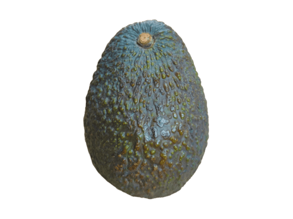 Aguacate Mercanario Aguacate