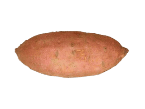 Batata de Lanzarote Mercanario Batata