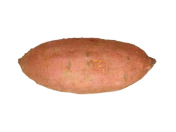 Batata de las islas canarias