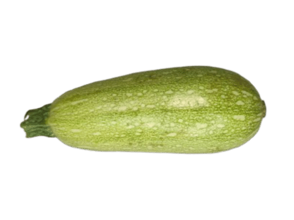 Calabacín Mercanario Cabalacín