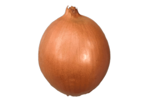 Cebolla blanca Mercanario Cebolla blanca