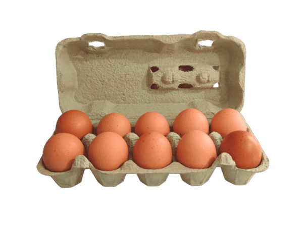 Huevos Huevos camperos de gallinas felices