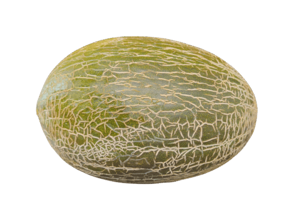 Melón Mercanario Melón