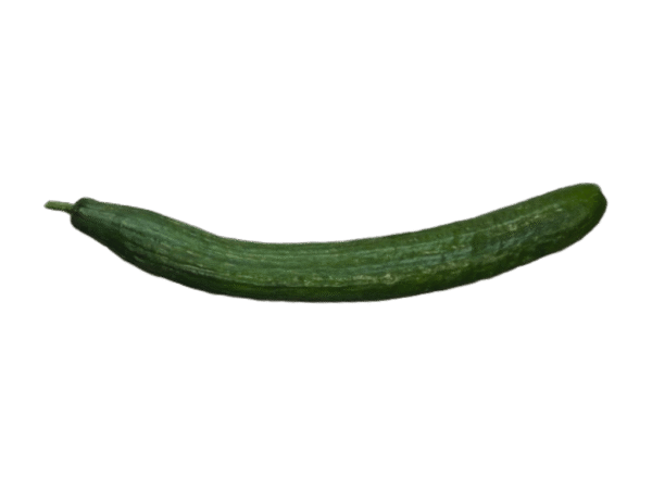 Pepino Mercanario Pepino