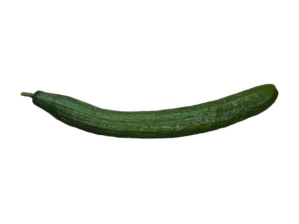 Pepino de las islas canarias