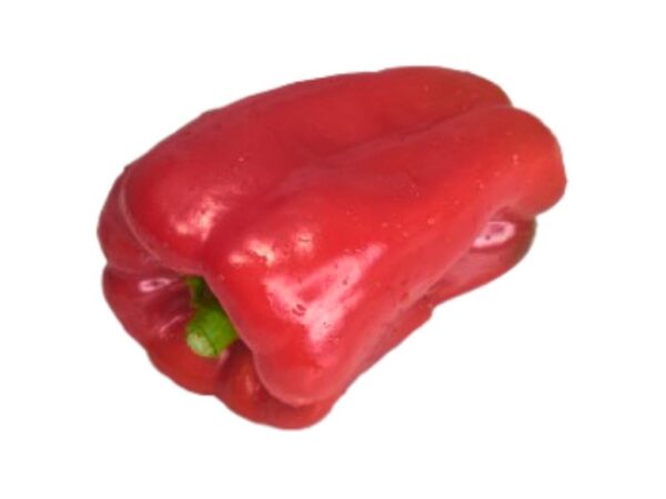 Pimiento rojo de las islas canarias