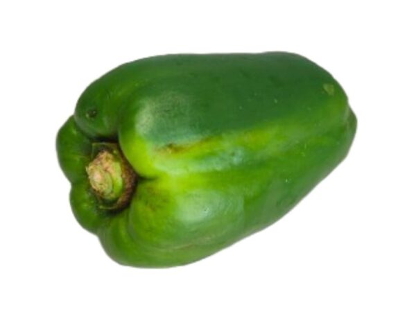 Pimiento verde de las islas canarias