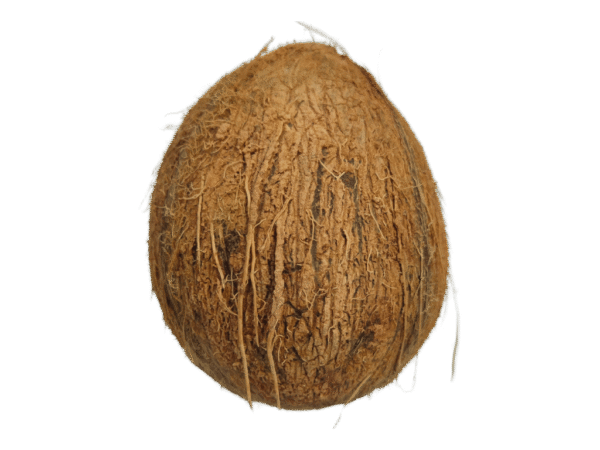 Coco Mercanario Coco