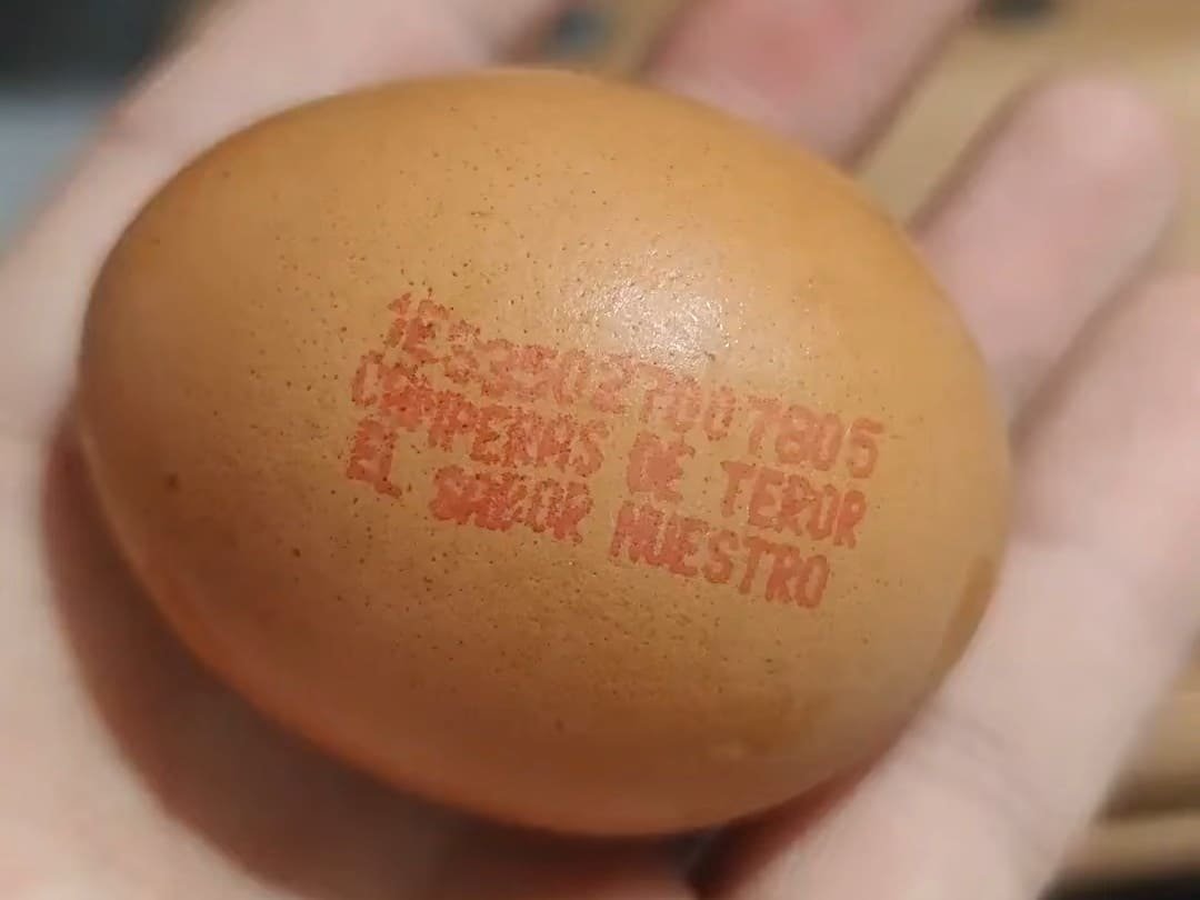 Identificar huevo campero