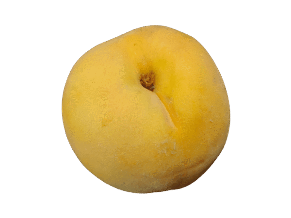 Melocotón amarillo Mercanario Melocotón amarillo