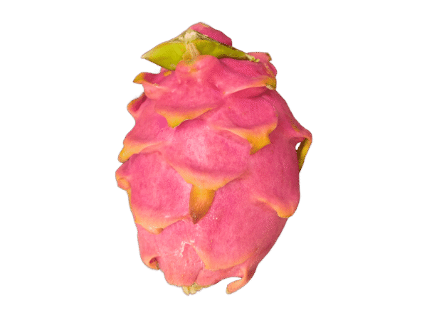 Pitaya Mercanario Pitaya