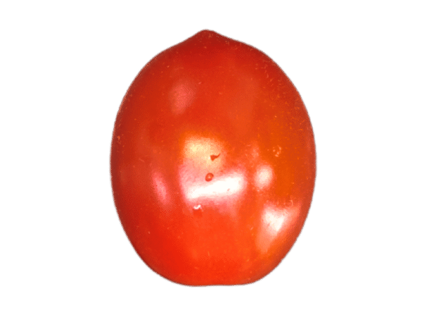 Tomate cherry Mercanario Tomate cherry