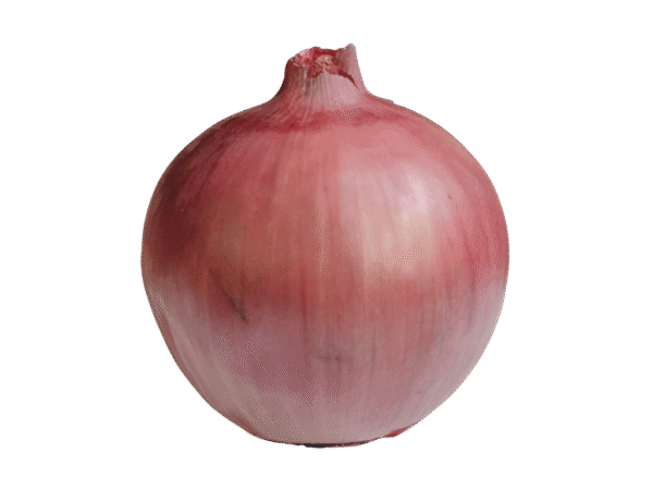 Cebolla roja Mercanario Cebolla roja