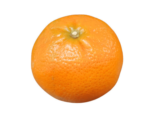 Naranja china Mercanario Naranja china
