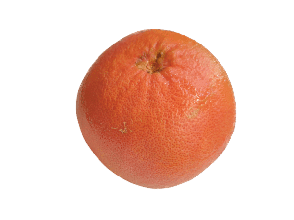 Pomelo Mercanario Pomelo