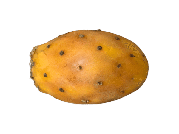 Tunos