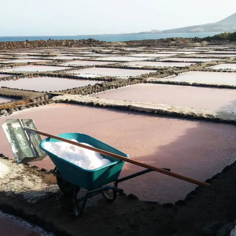 Salinas bocacangrejo