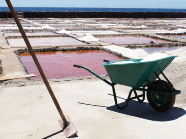 Salinas Bocacangrejo
