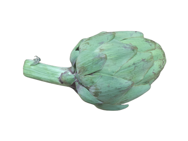 Alcachofa